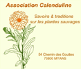 Logo Calenduline