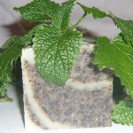 Savonnerie L'Essentielle