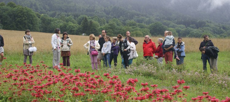 Visites des exploitations de plantes aromatiques et médicinales