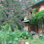 Distill'Rêve Ferme